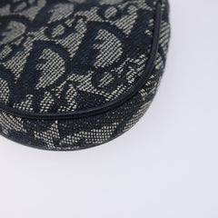 Dior Saddle