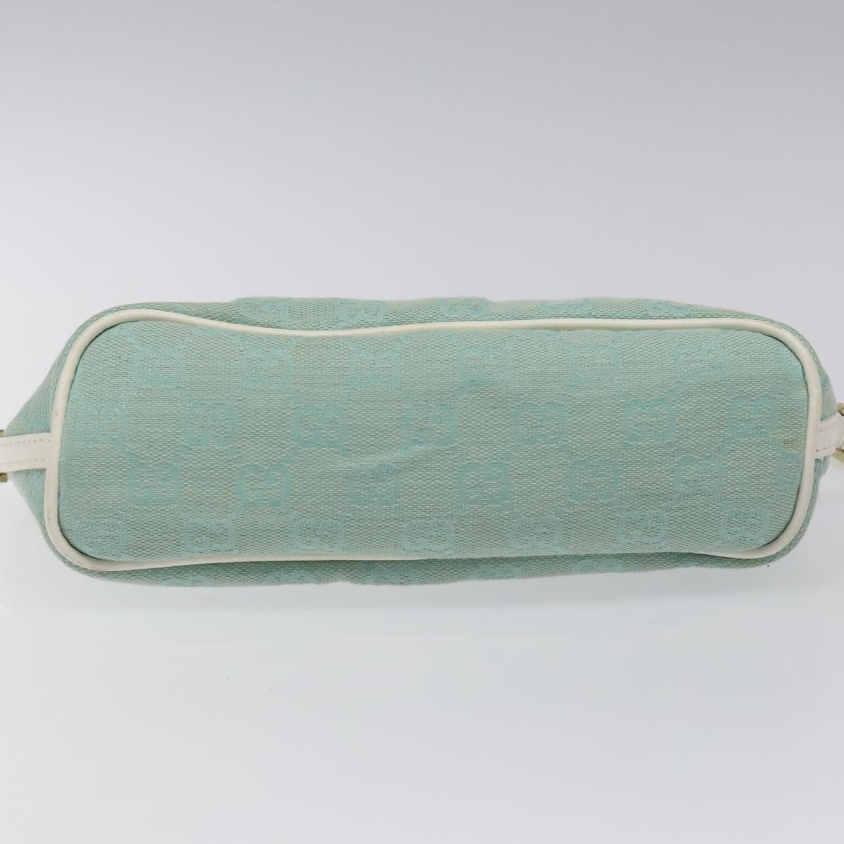 Gucci GG canvas