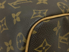 Louis Vuitton Speedy 25