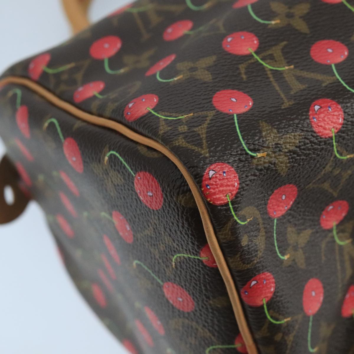 Louis Vuitton Speedy 25