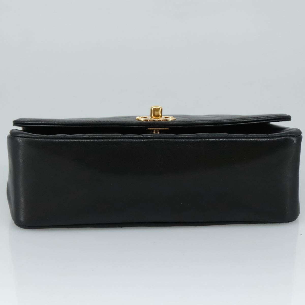 Chanel Diana