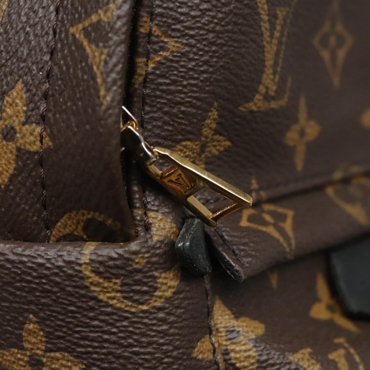 Louis Vuitton Palm Springs mini