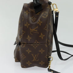 Louis Vuitton Palm Springs mini