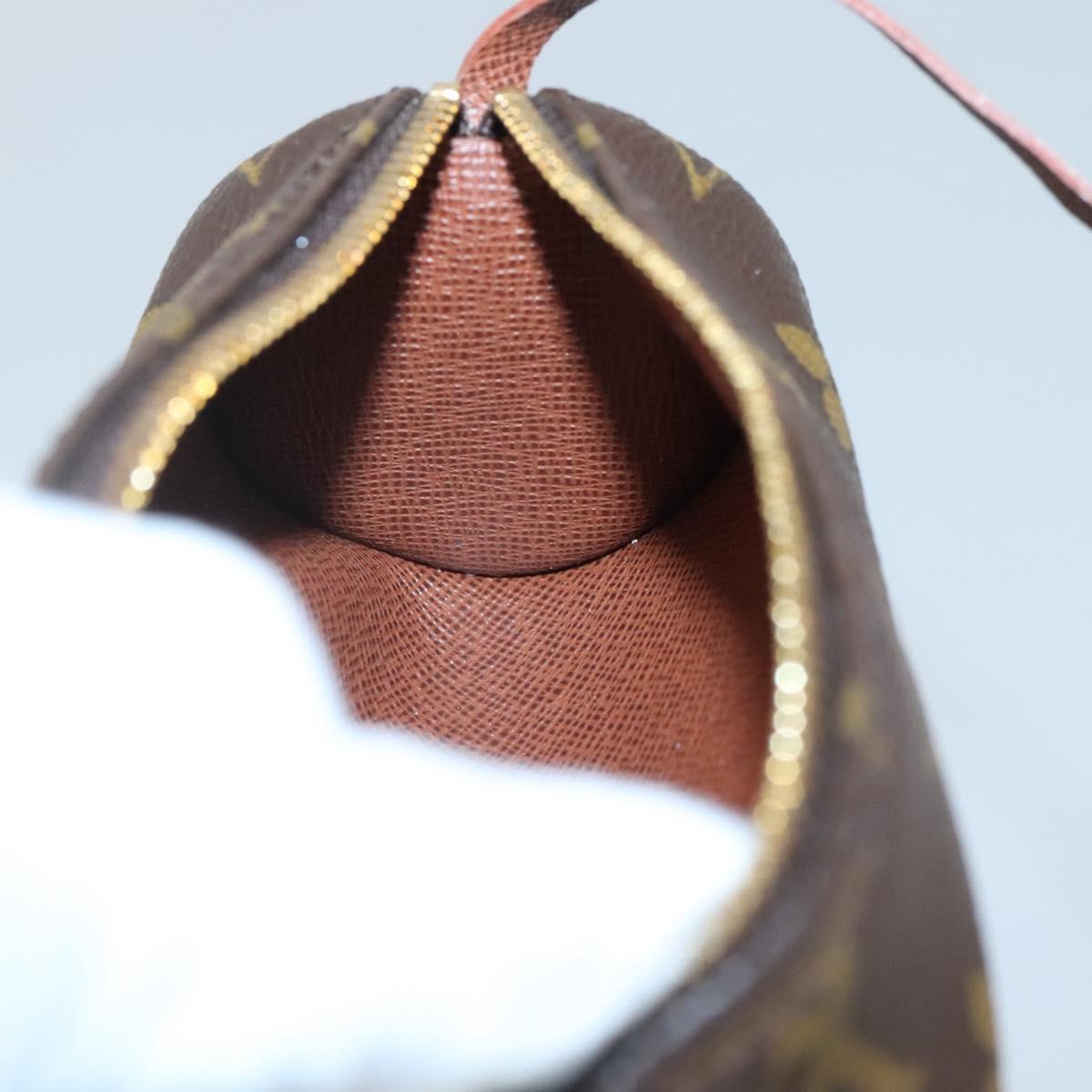 Louis Vuitton Papillon