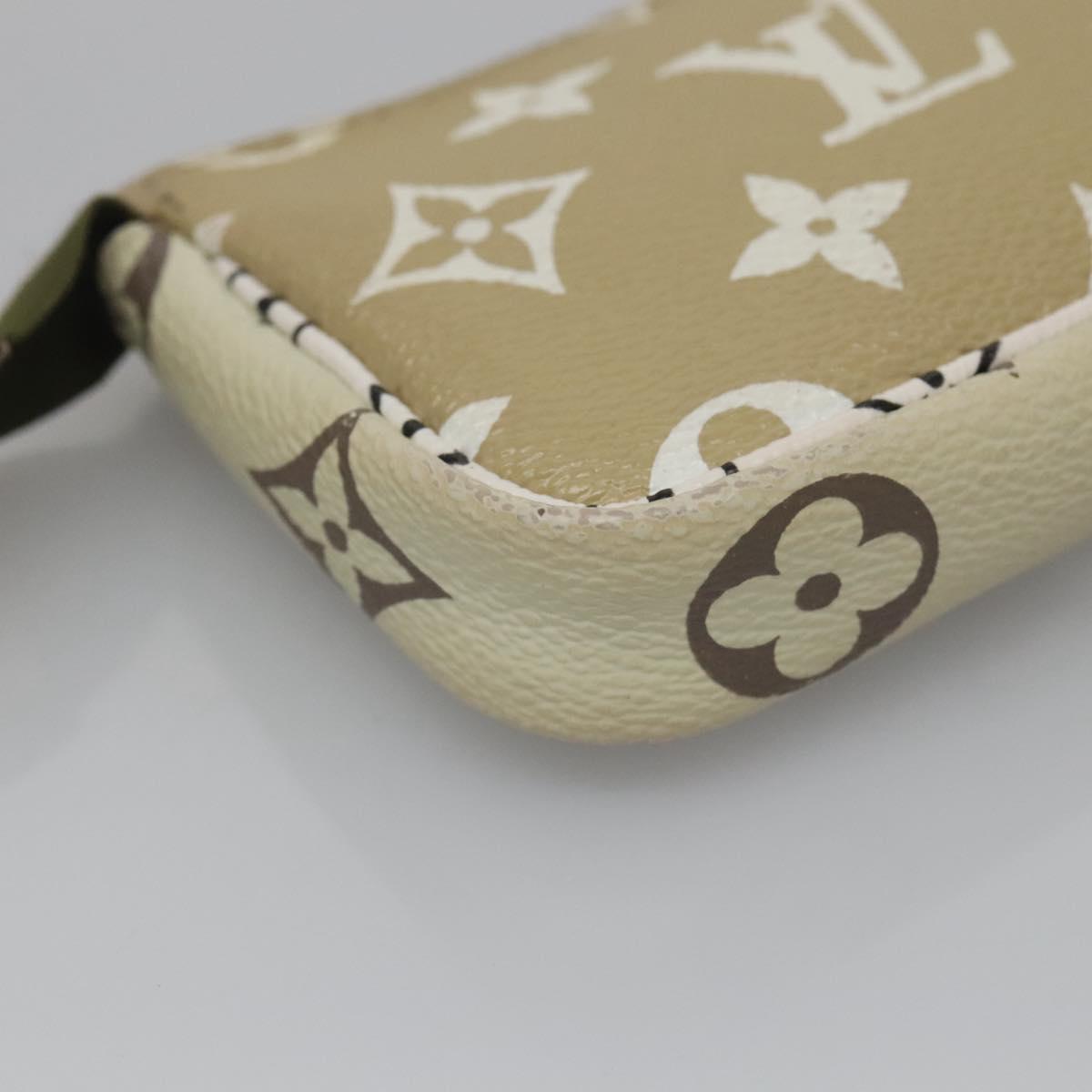 Louis Vuitton Mini Pochette Accessoires