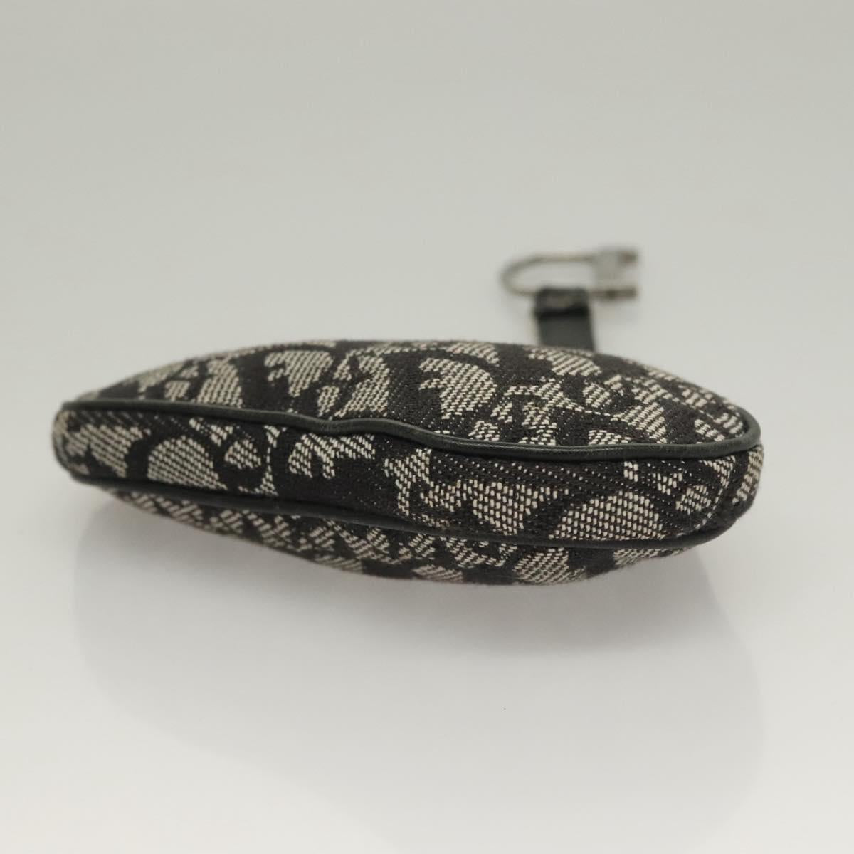 Dior Saddle