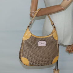 Dior Street Chic Hobo