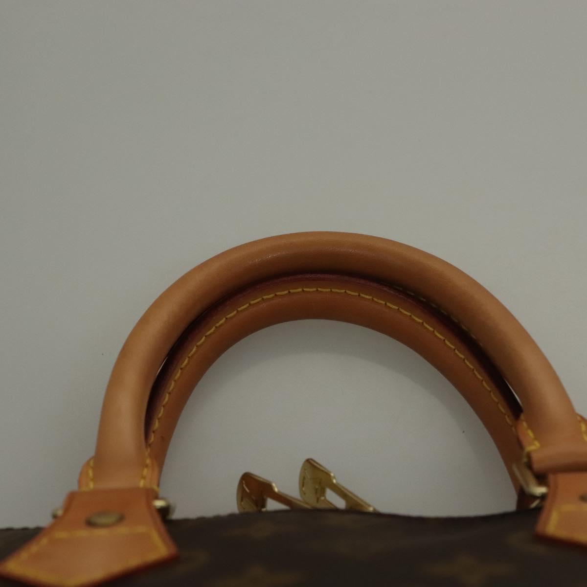 Louis Vuitton Alma