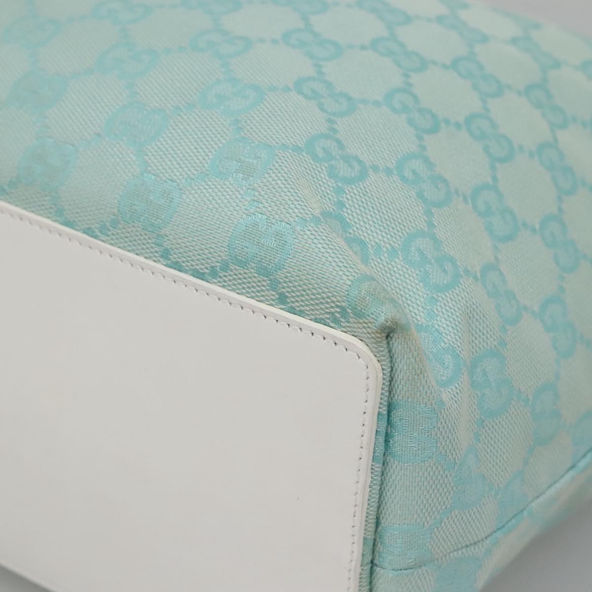 Gucci GG canvas