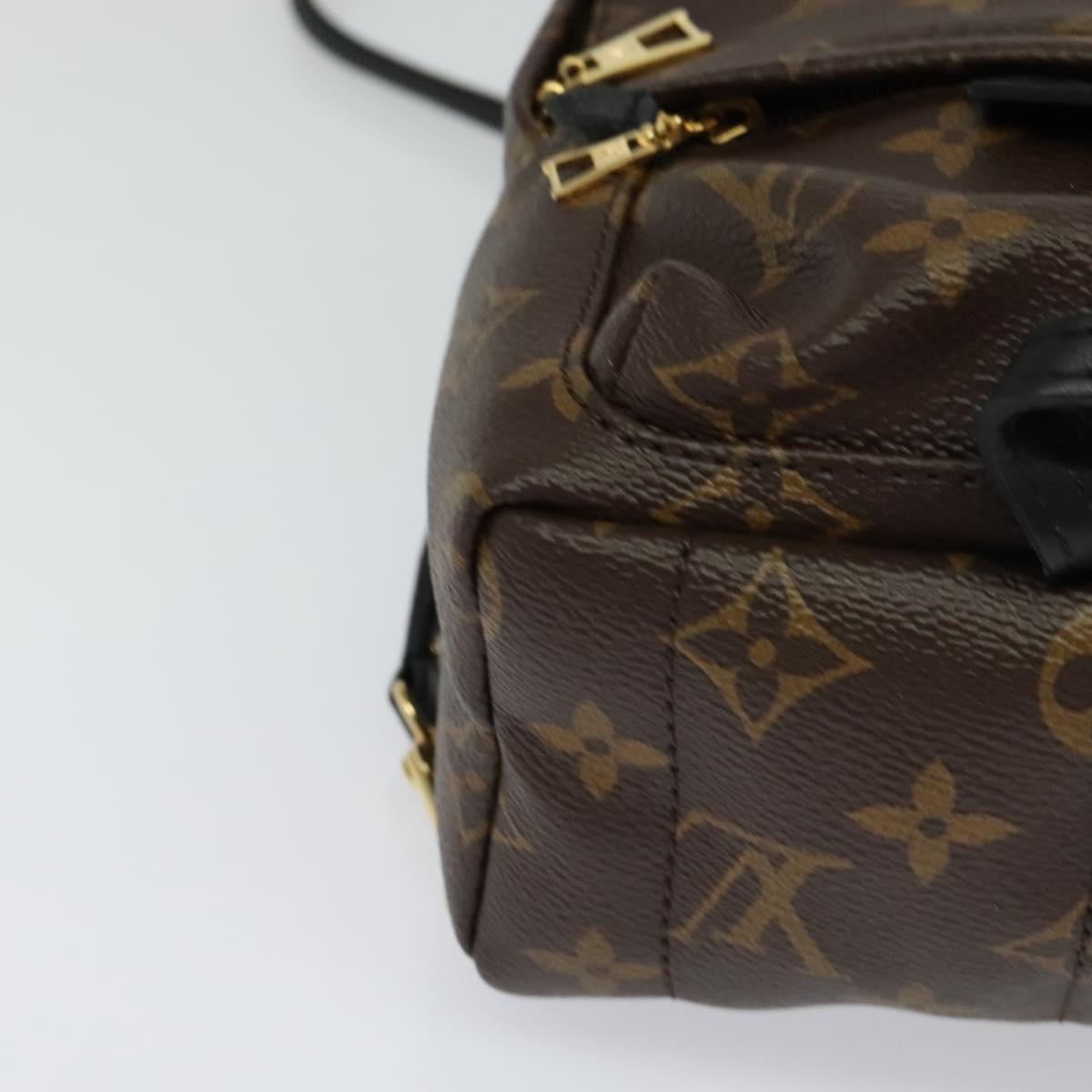 Louis Vuitton Palm Springs mini