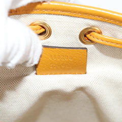 Gucci GG canvas