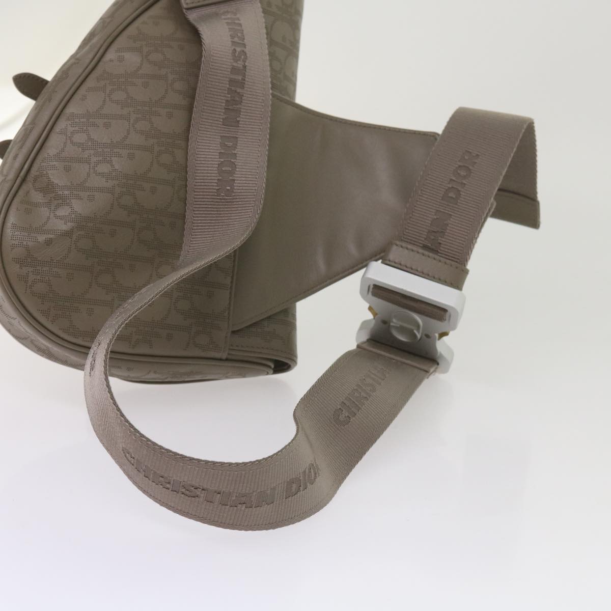 Dior Saddle