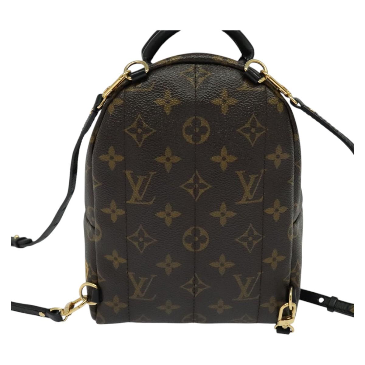 Louis Vuitton Palm Springs mini