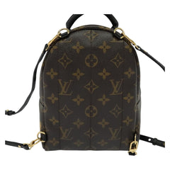 Louis Vuitton Palm Springs mini