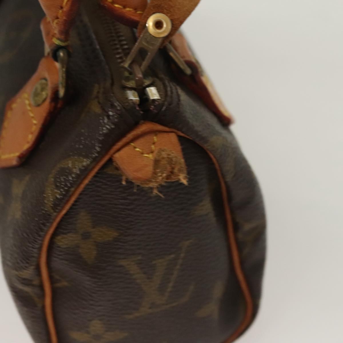 Louis Vuitton Mini speedy