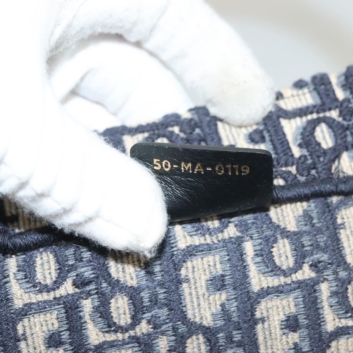 Dior Book Tote