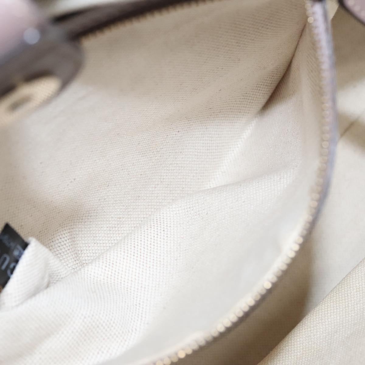 Gucci GG canvas