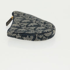 Dior Saddle