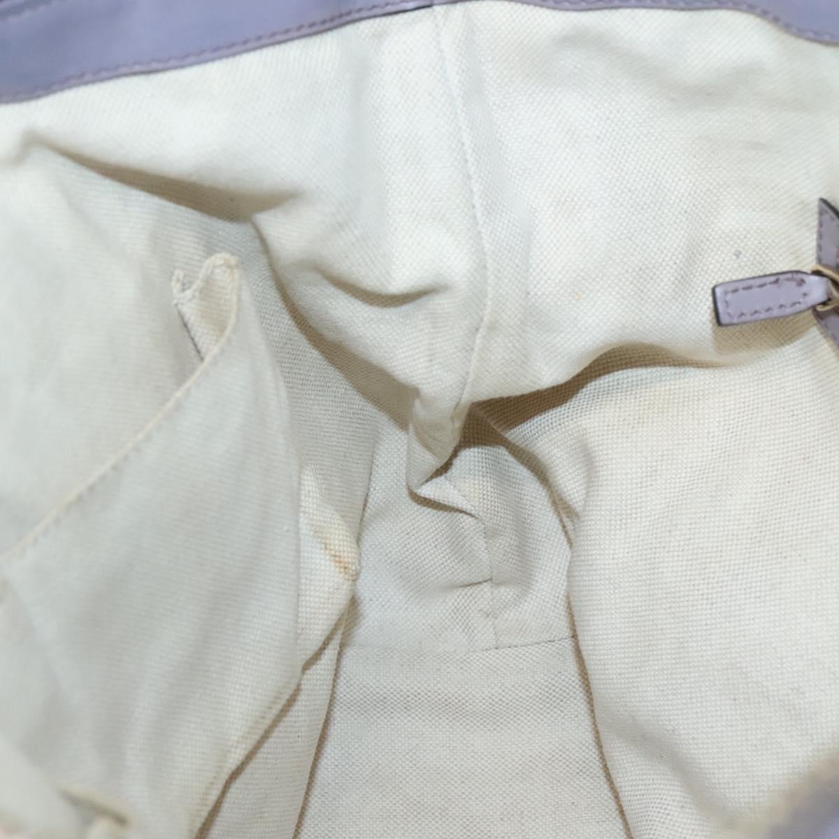 Gucci GG canvas