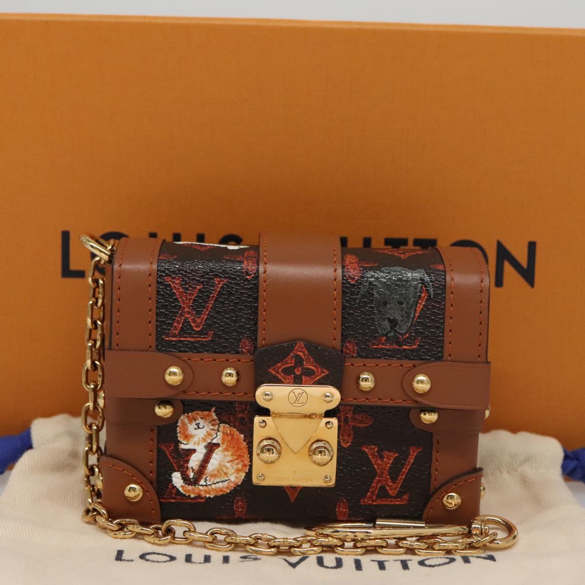 Louis Vuitton Trunk