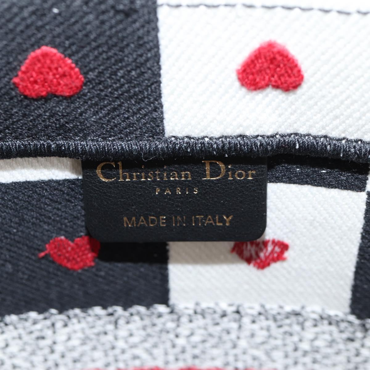 Dior Book Tote