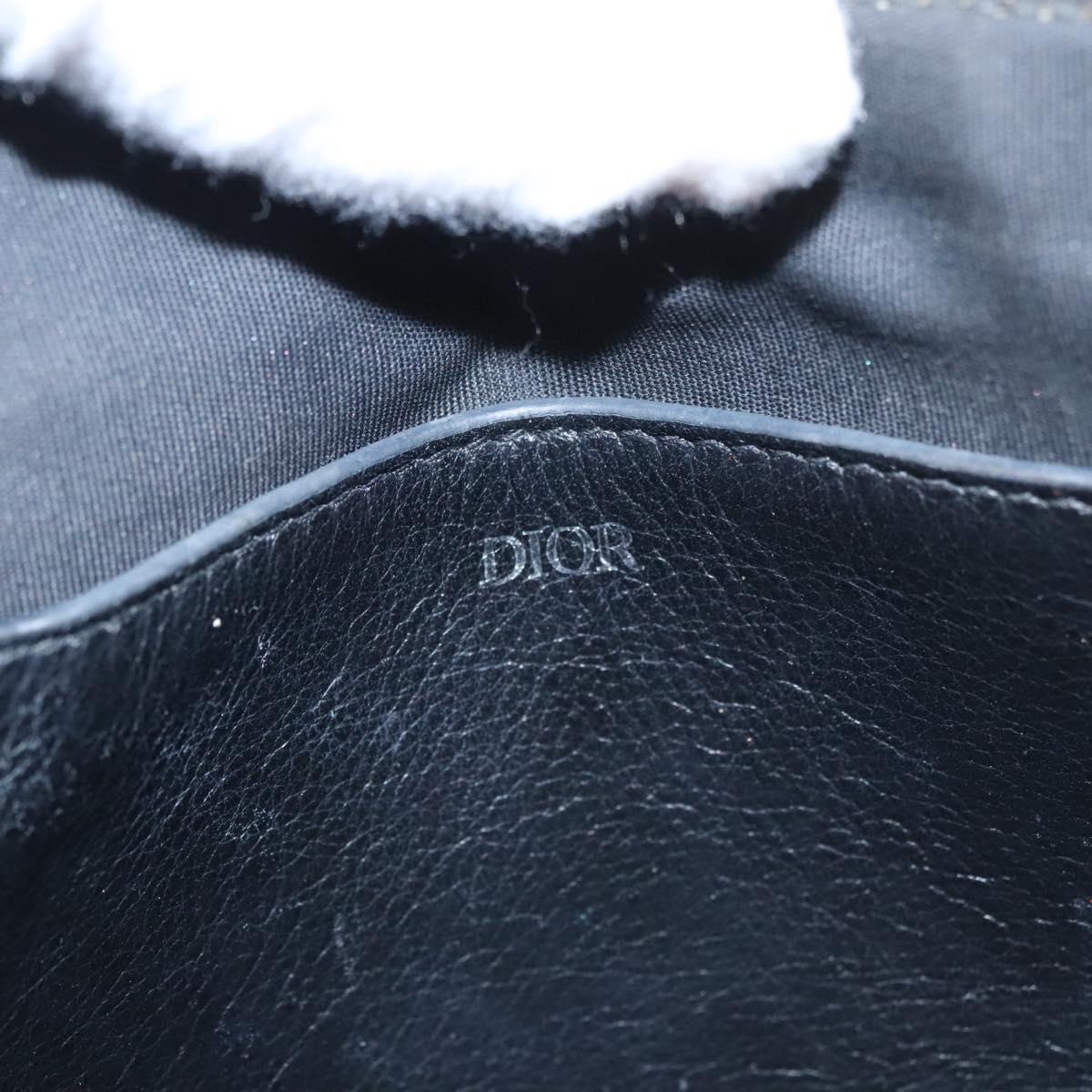 Dior Trotter