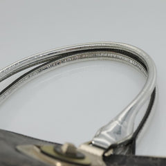 Céline Horse carriage