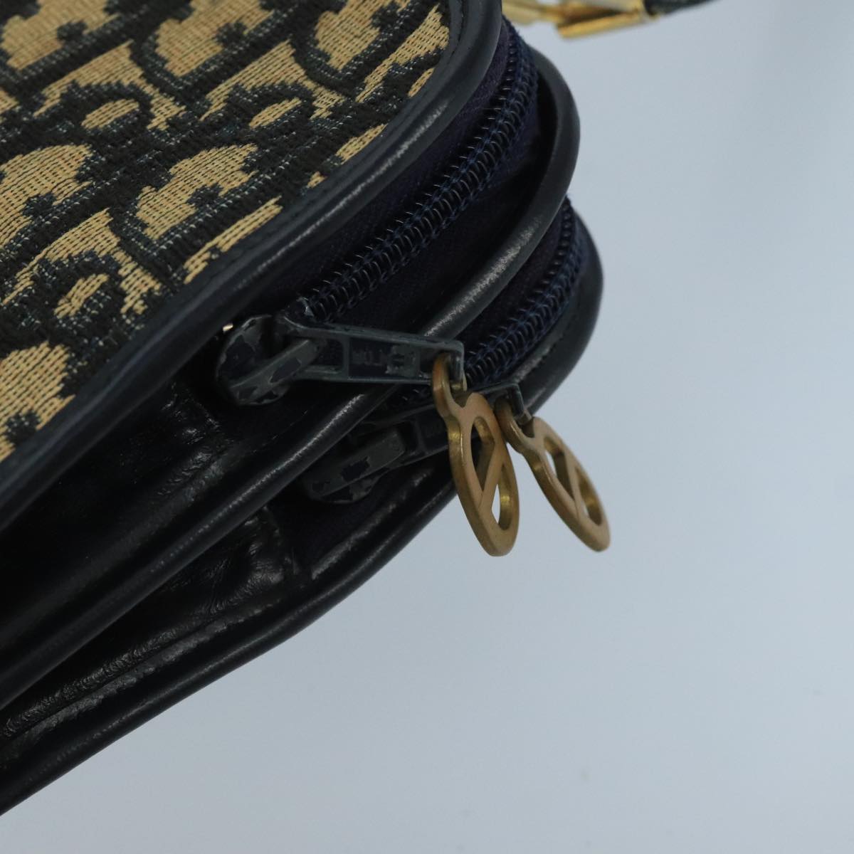 Dior Trotter