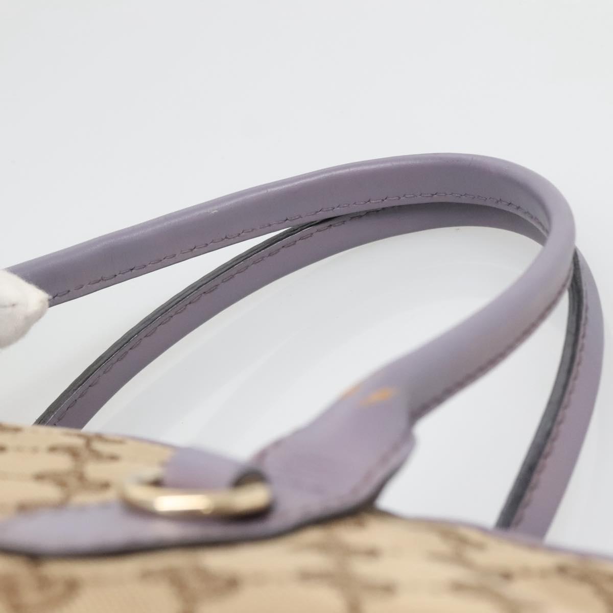Gucci GG canvas
