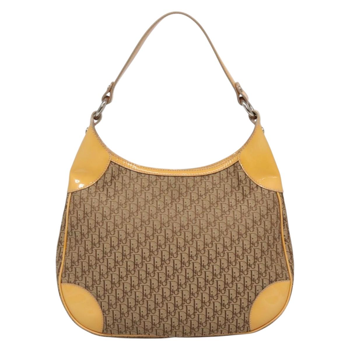 Dior Street Chic Hobo