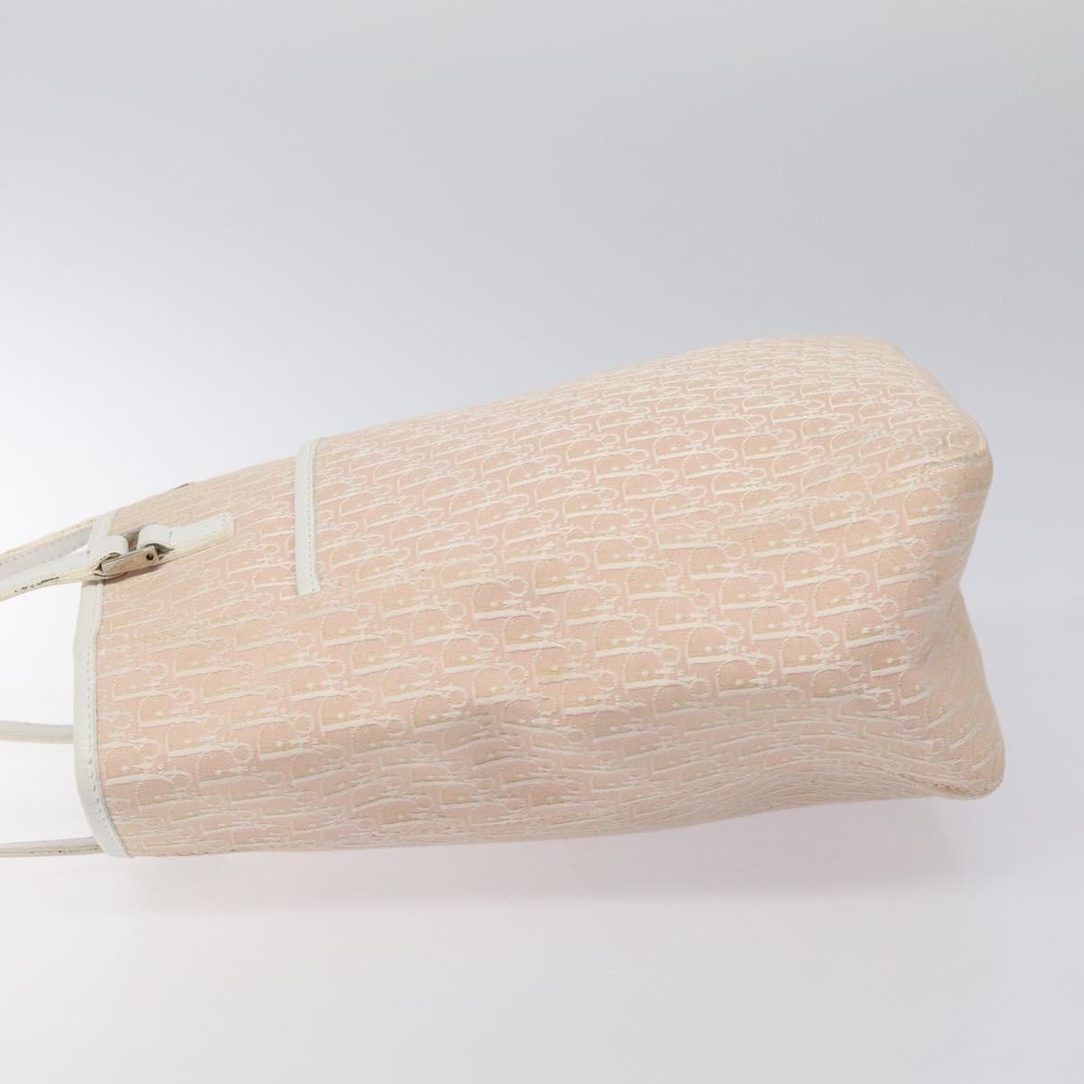 Dior Trotter