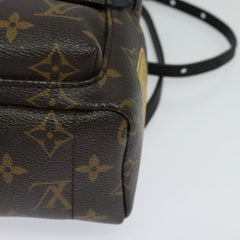 Louis Vuitton Palm Springs mini