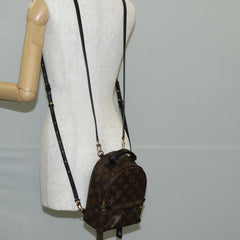 Louis Vuitton Palm Springs mini