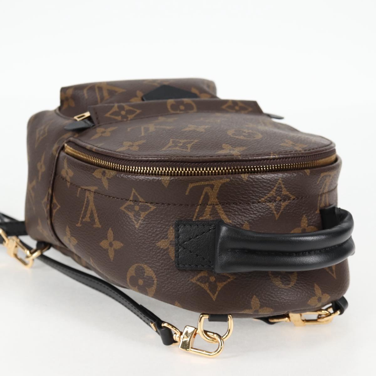 Louis Vuitton Palm Springs mini