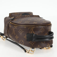 Louis Vuitton Palm Springs mini
