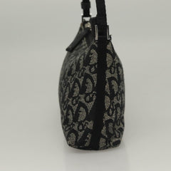Dior Trotter