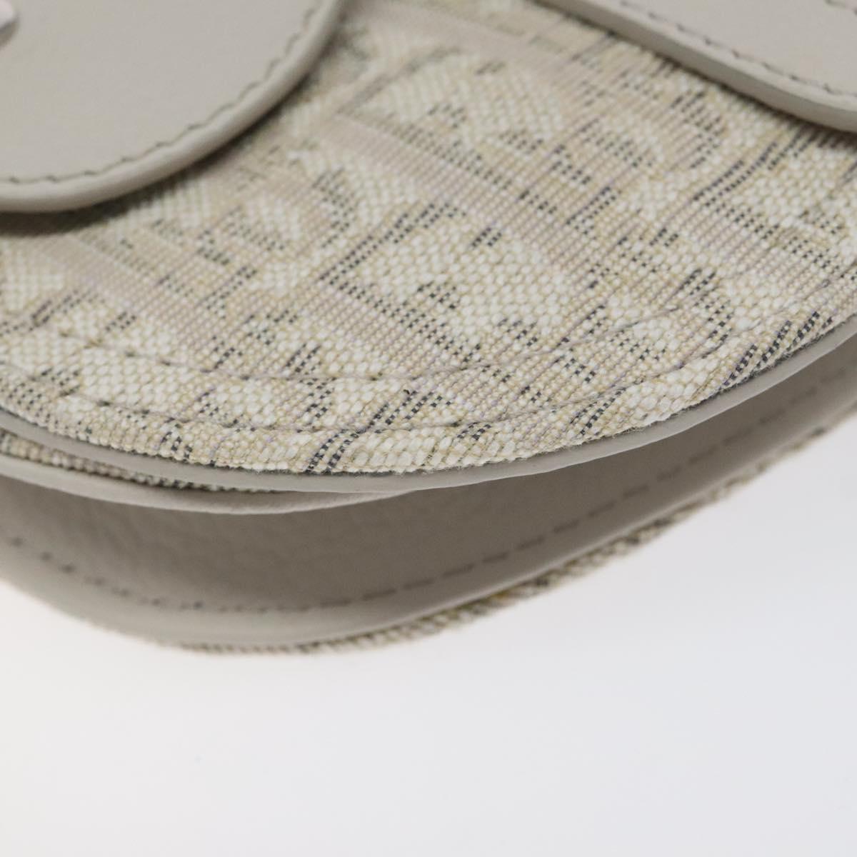 Dior Saddle Dior Oblique