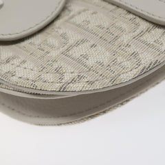 Dior Saddle Dior Oblique