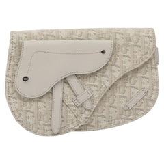 Dior Saddle Dior Oblique