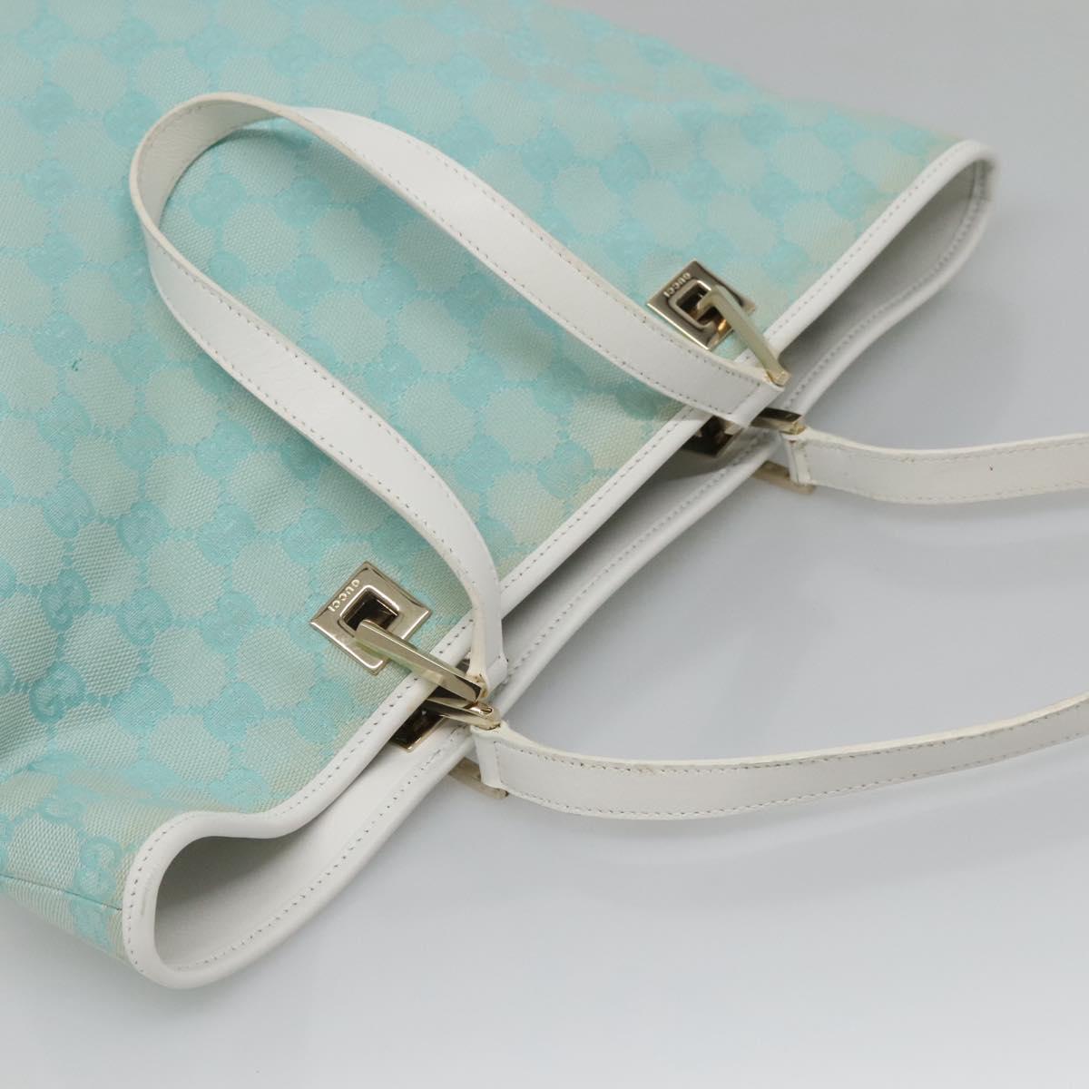 Gucci GG canvas