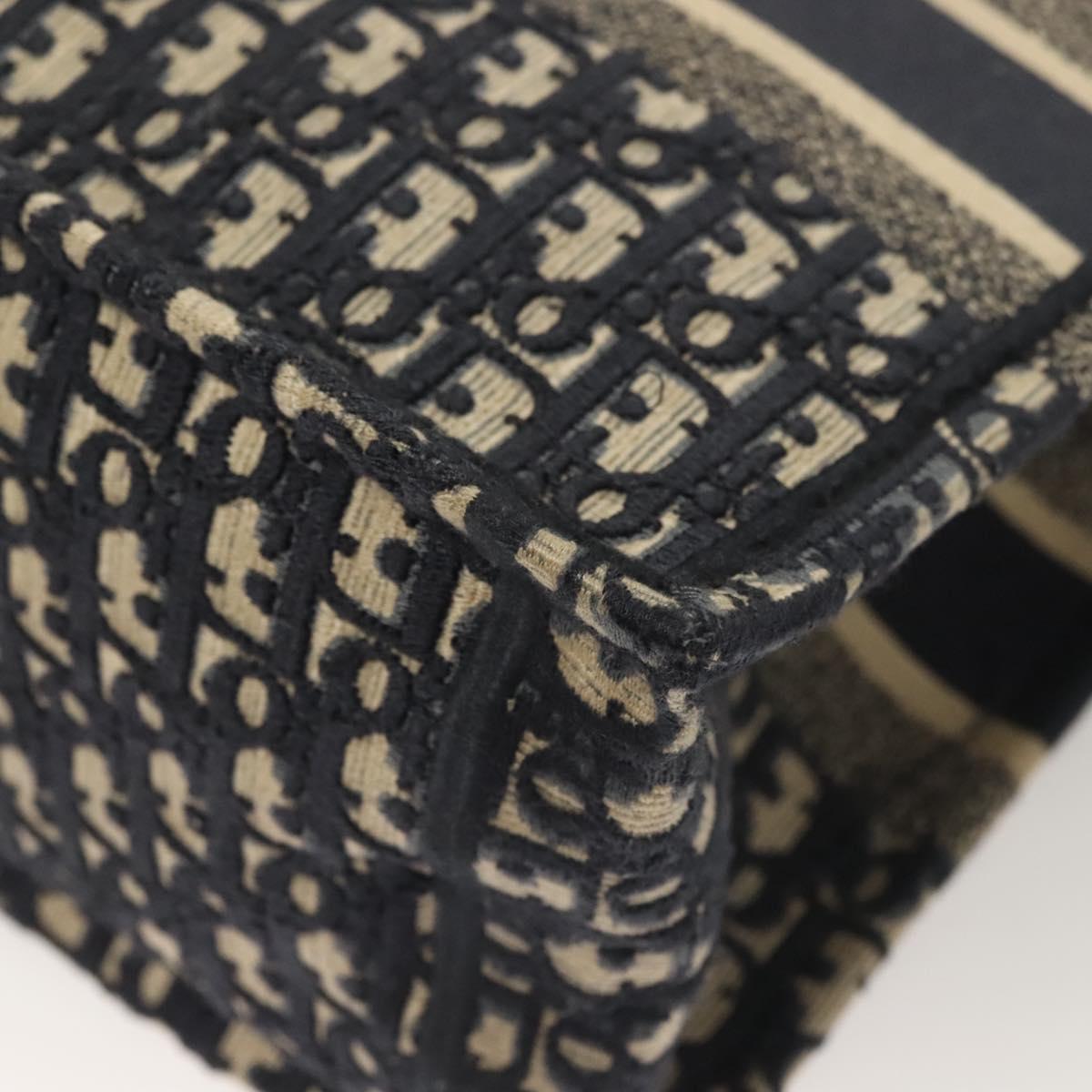 Dior Book Tote