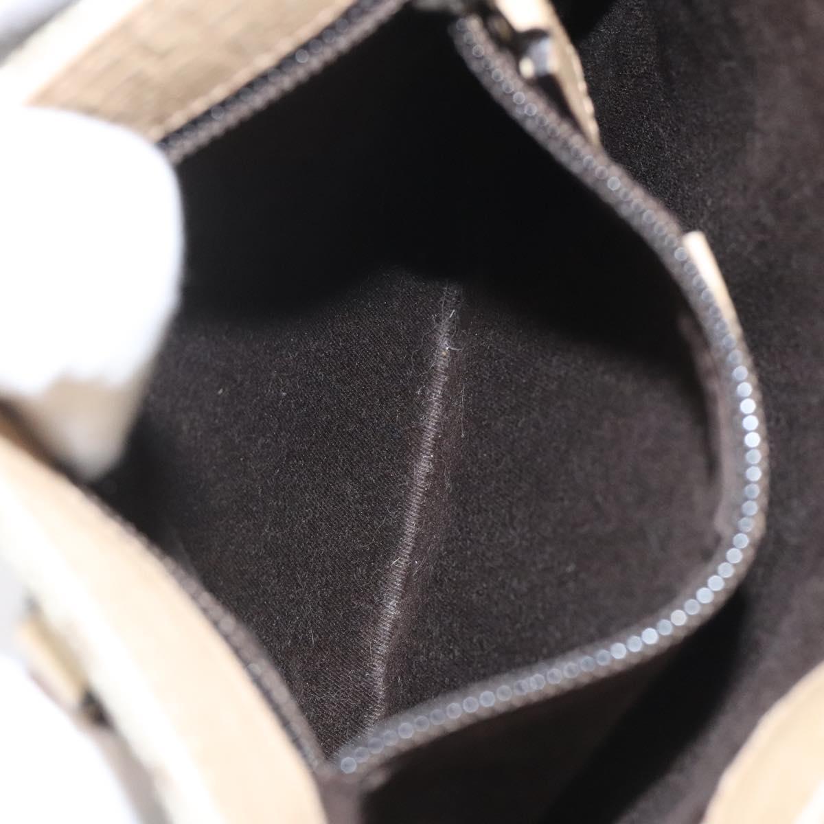 Gucci GG canvas