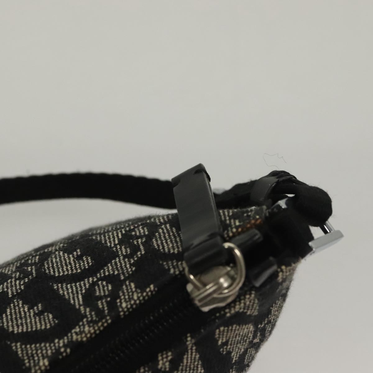 Dior Trotter