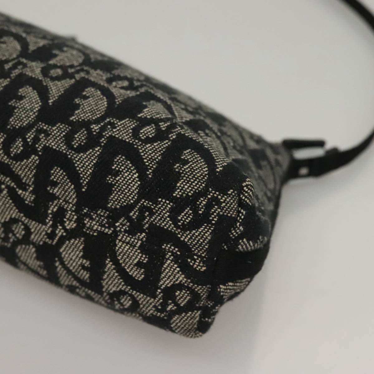 Dior Trotter