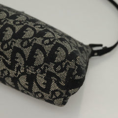 Dior Trotter