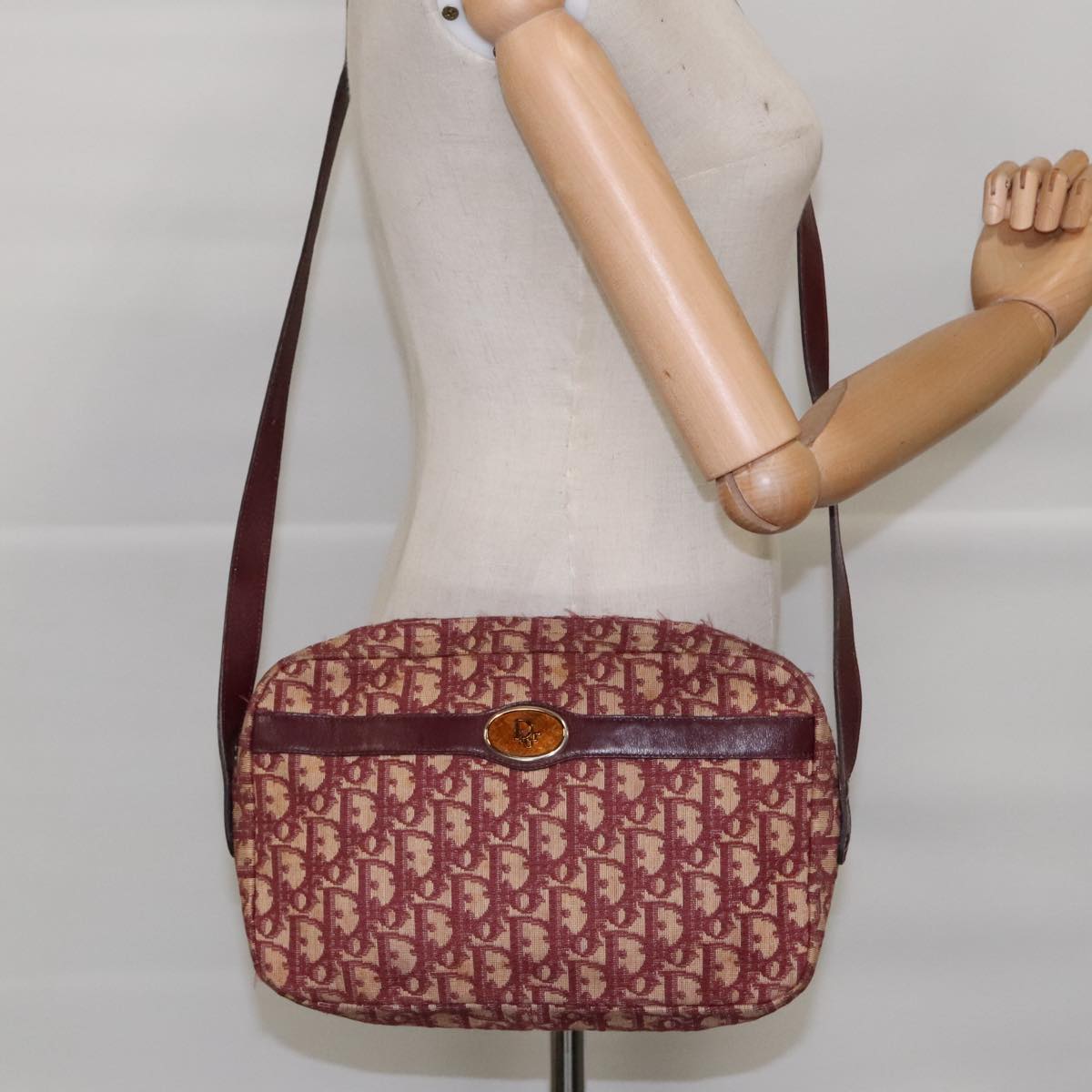 Dior Oblique
