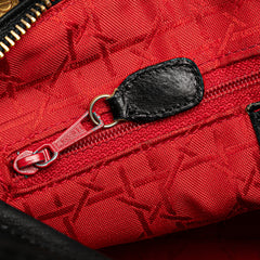 Medium Lambskin Cannage Lady Dior_7