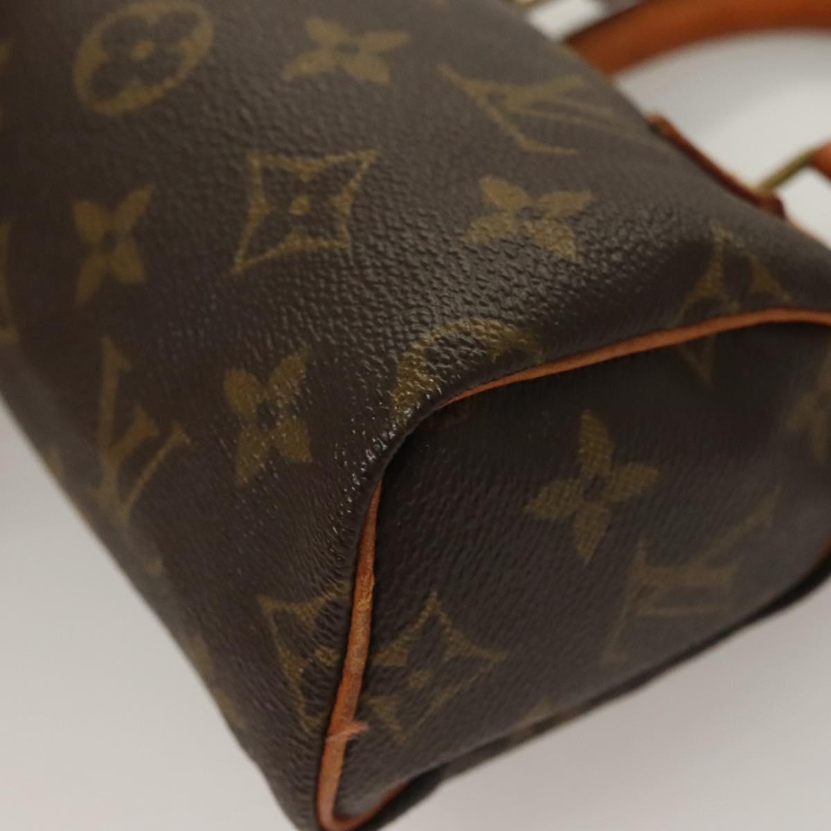 Louis Vuitton Mini speedy