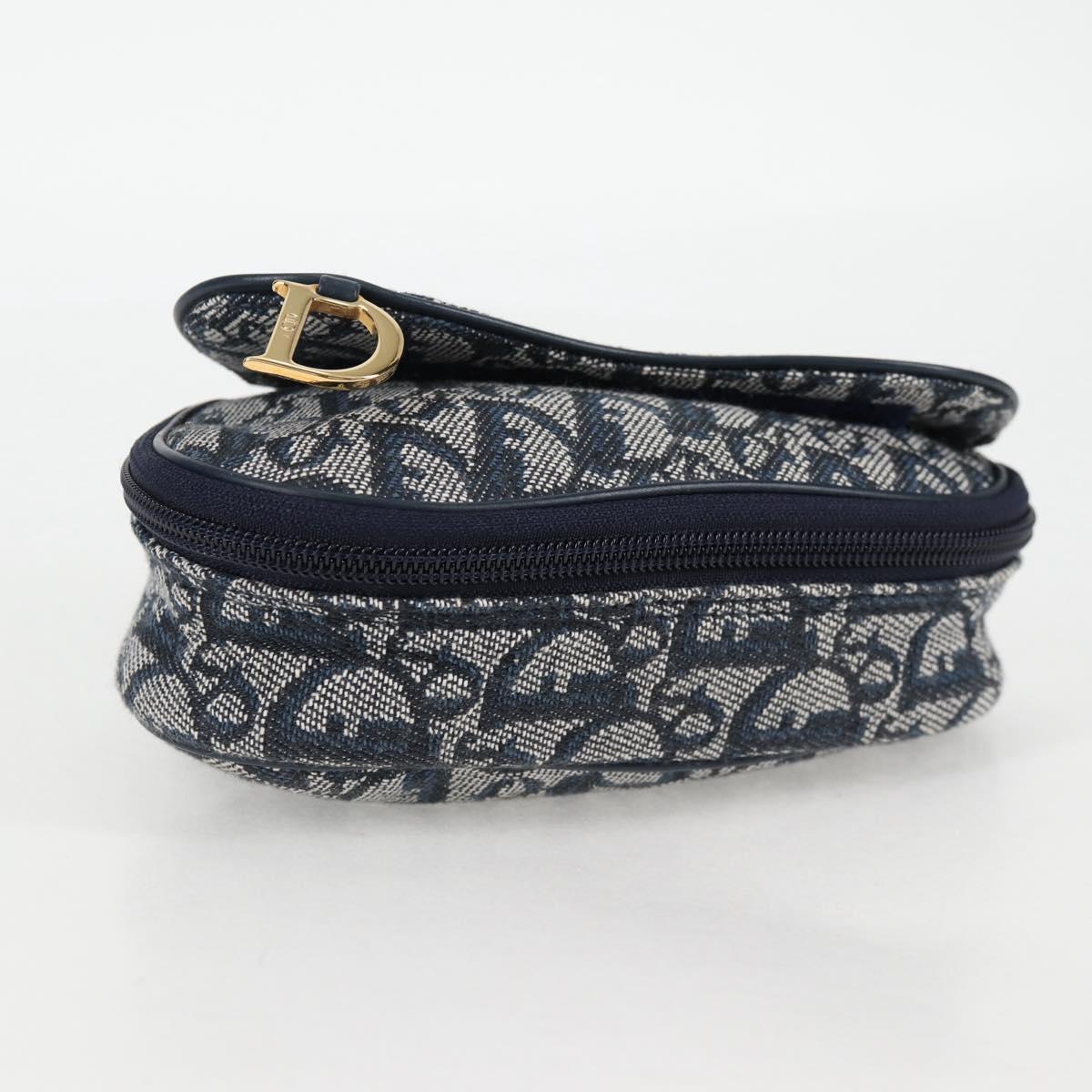 Dior Saddle