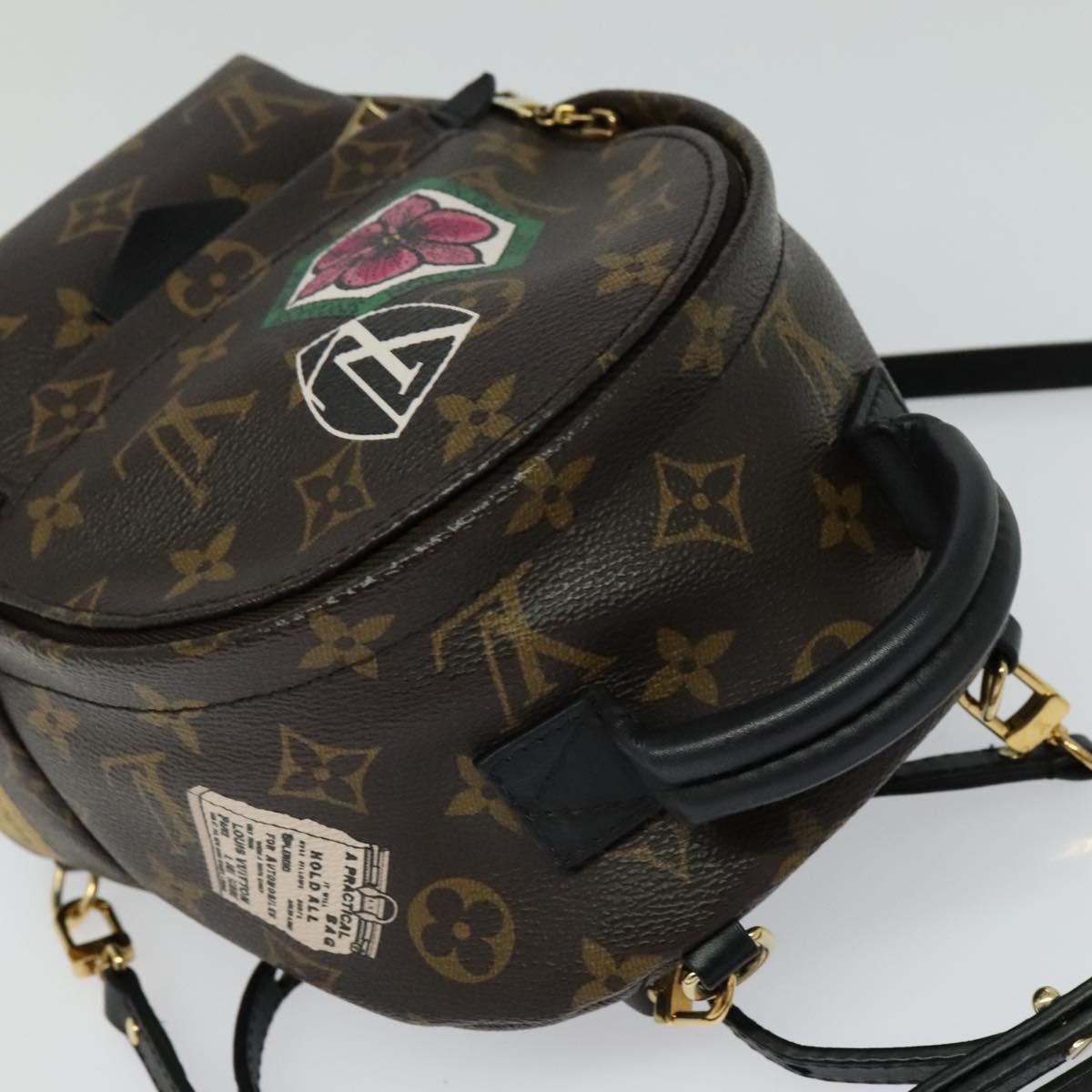 Louis Vuitton Palm Springs mini